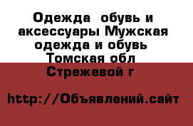 Одежда, обувь и аксессуары Мужская одежда и обувь. Томская обл.,Стрежевой г.